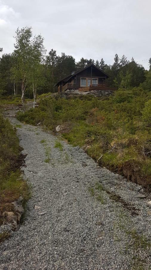 Molvik Hytten Villa Ostereidet Luaran gambar