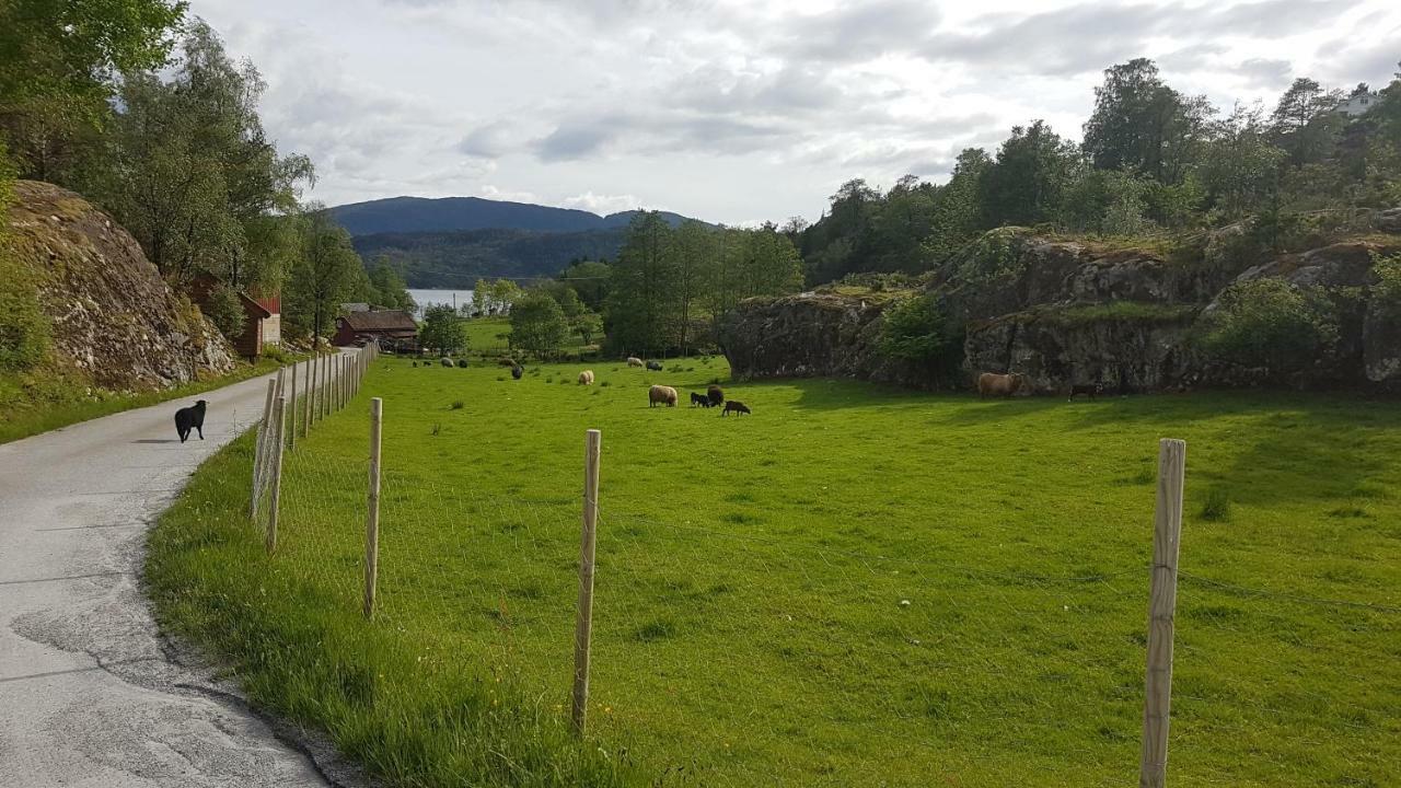 Molvik Hytten Villa Ostereidet Luaran gambar
