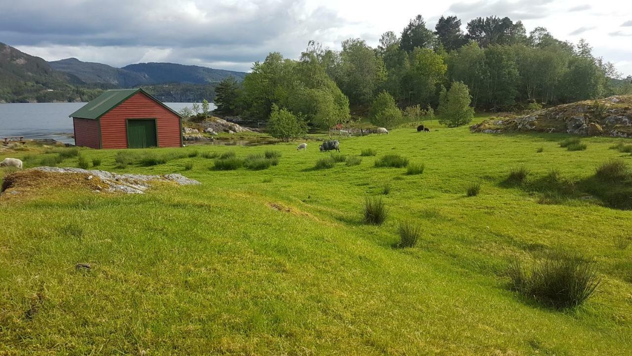 Molvik Hytten Villa Ostereidet Luaran gambar